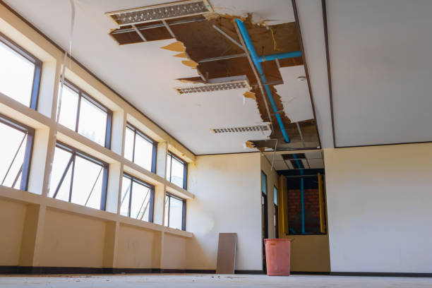 Best Professional water damage repair  in Rock Falls, IL