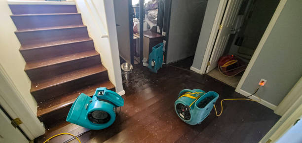 Best Water damage restoration near me  in Rock Falls, IL
