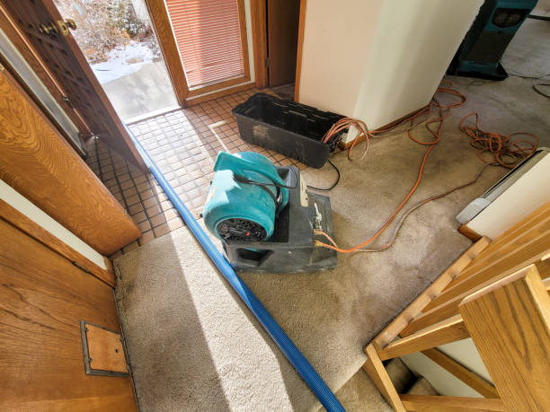 Reliable Rock Falls, IL Water damage restoration Solutions