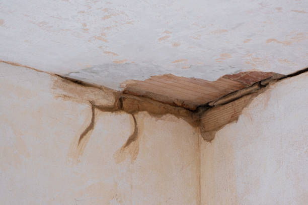 Best Fire Damage Restoration  in Rock Falls, IL